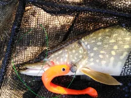 Kiesgrube Riesdorf-3