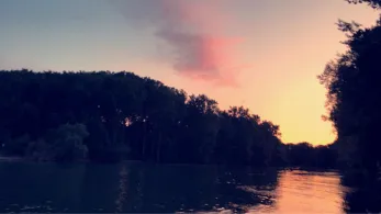 Mechtersheimer Altrhein -3