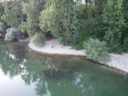 Mechtersheimer Altrhein 