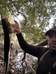 Mechtersheimer Altrhein -4