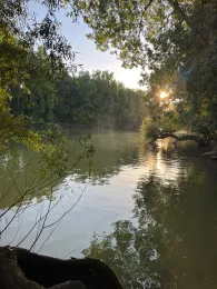 Mechtersheimer Altrhein -2