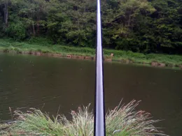 Teichanlage Schafbachweiher (Vallee du Schafbach)-1