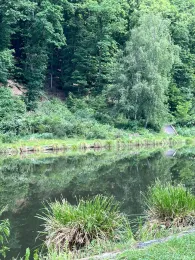 Teichanlage Schafbachweiher (Vallee du Schafbach)-4