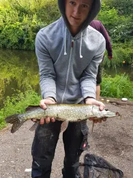 Teichanlage Schafbachweiher (Vallee du Schafbach)-3