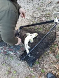 Menzelsee (Hilden)-4