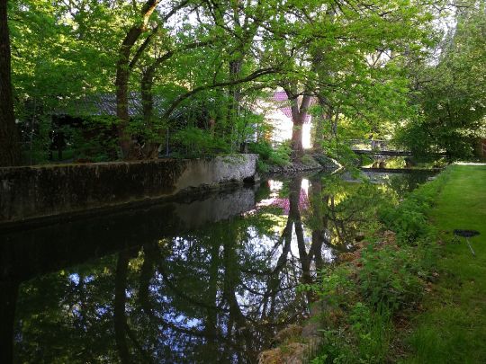 Singold (Wehringen)-4