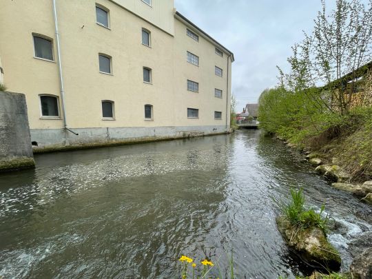 Singold (Wehringen)-0