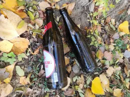 Schädemulde (Luckenau)-4