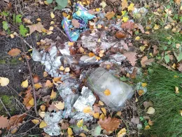 Schädemulde (Luckenau)-3