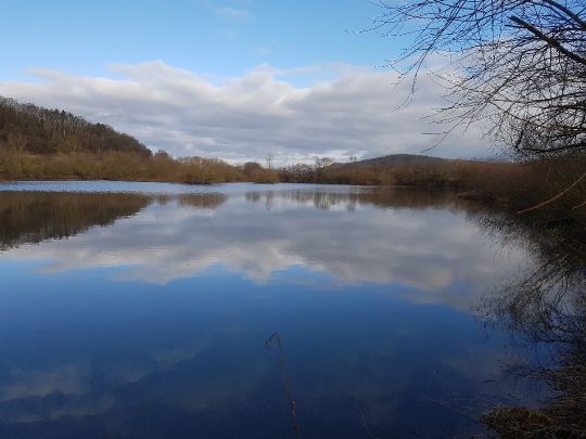 Mecklarer Teich angeln