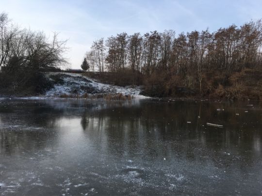 Ziegeleiteich Altenburg-1