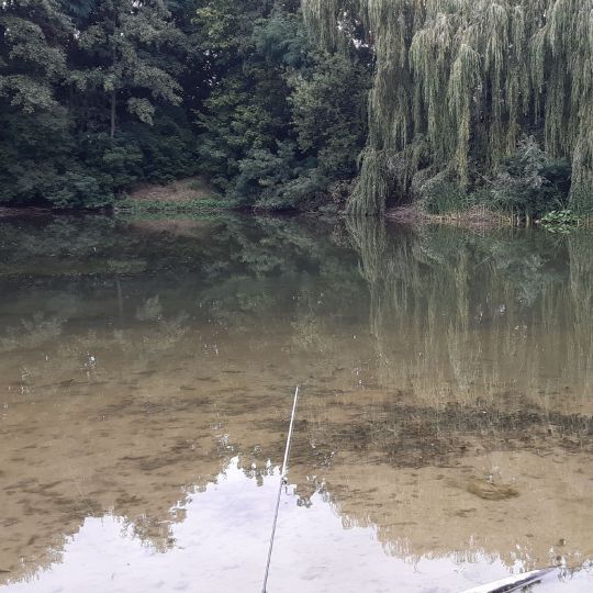 Ziegeleiteich Altenburg-3