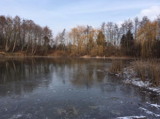 Ziegeleiteich Altenburg-2