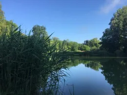 Angelweiher Dattingen