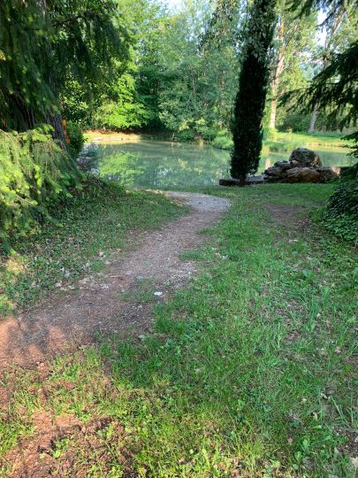 Angelweiher Dattingen-1