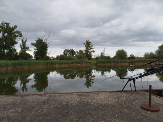 Gütersee (Köthen)-2