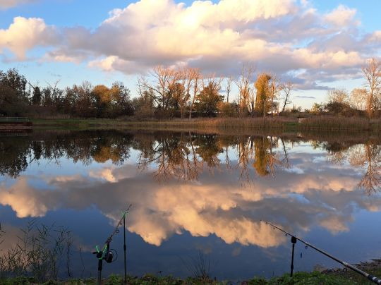 Gütersee (Köthen)-1