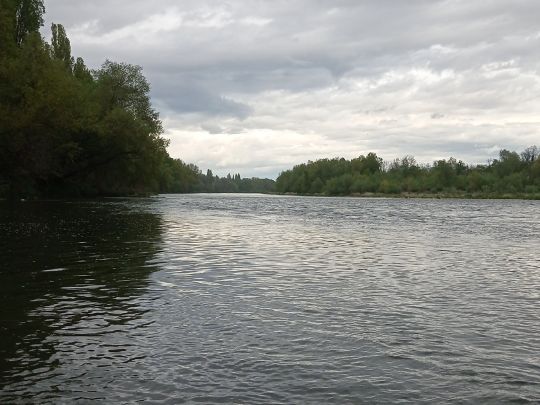 Rhein (Neuenburg am Rhein)-1