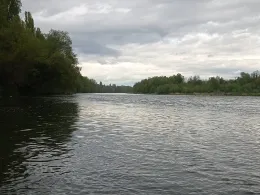 Rhein (Neuenburg am Rhein)-1