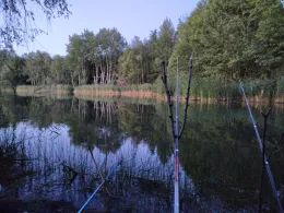 Baggerteich Brandis-4