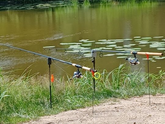 Baggerteich Brandis-3