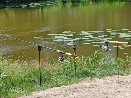 Baggerteich Brandis-3