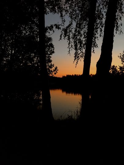 Baggerteich Brandis-2