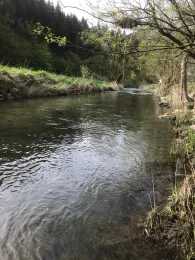 Lenne (Schmallenberg)-1