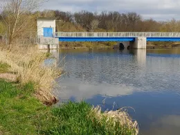 Saale (Hohenweiden)-4