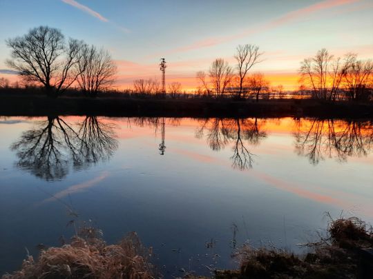 Saale (Hohenweiden)-2