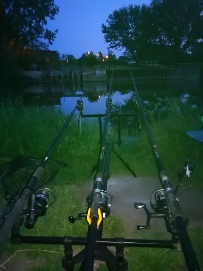 Saale (Hohenweiden)-4