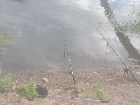 Saale (Hohenweiden)-3