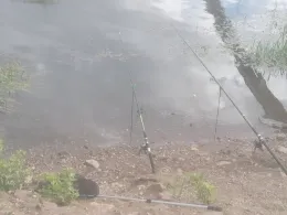 Saale (Hohenweiden)-3