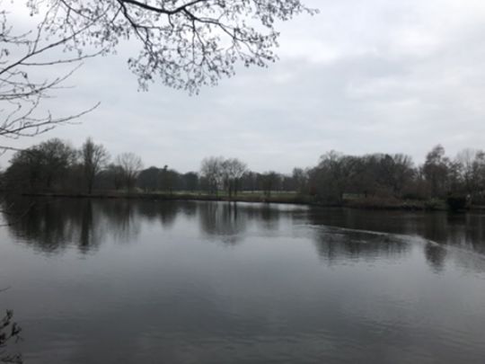 Ellernteich (Rastede)-1