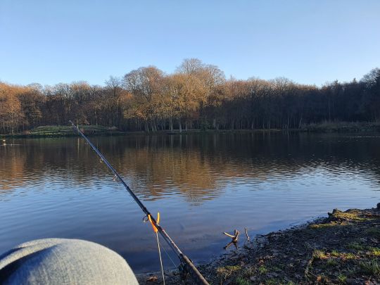 Ellernteich (Rastede)-3