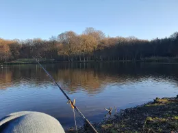 Ellernteich (Rastede)-3