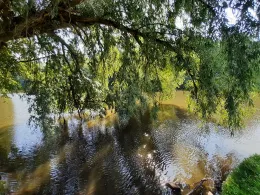 Ellernteich (Rastede)-2