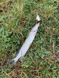 Baggersee Schutterwald