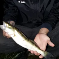 Dortmund-Ems-Kanal (Hörstel)-2