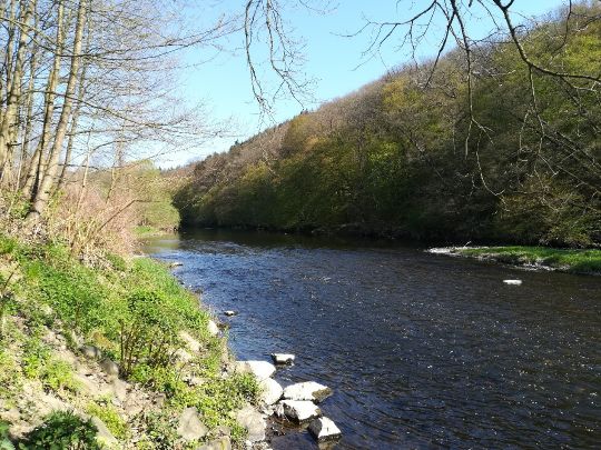 Angeln in Stockhausen-Illfurth