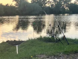 Gänseteich Zwintschöna-3