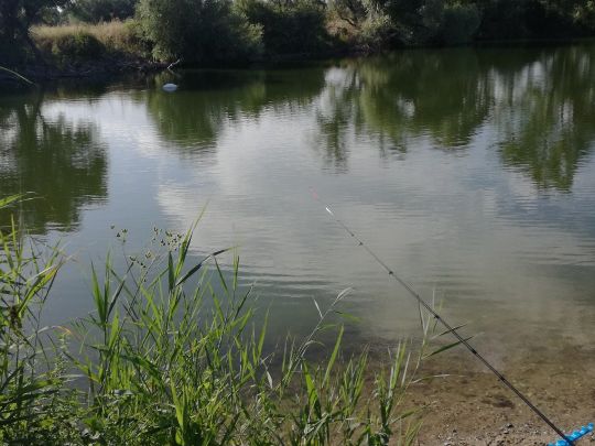 Gänseteich Zwintschöna-1