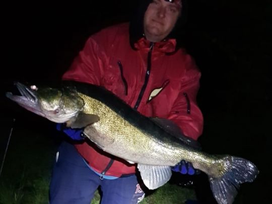 Main (Schweinfurt)-3