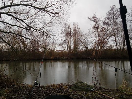 Main (Schweinfurt)-2