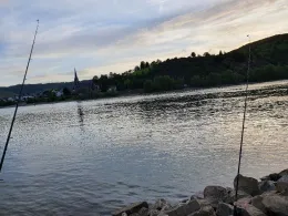 Rhein (Boppard)-3