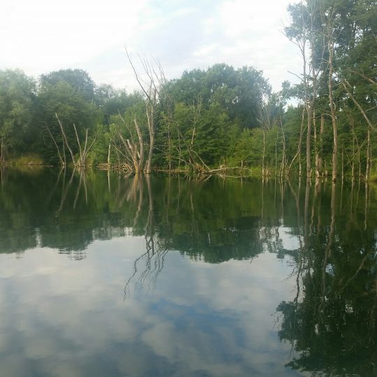 Lehngutbruch (Herzfelde)
