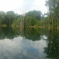 Lehngutbruch (Herzfelde)