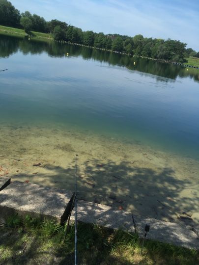 Angelteich Almsee-3