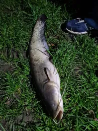 Teichwirtschaft Großdrebnitz-2