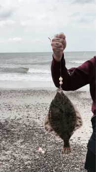 Nordsee (Hvide Sande)-4